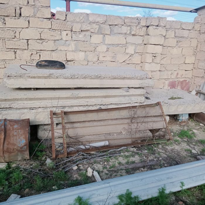 Бесплатно бесплатно