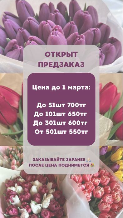 Тюльпаны в розницу и опт