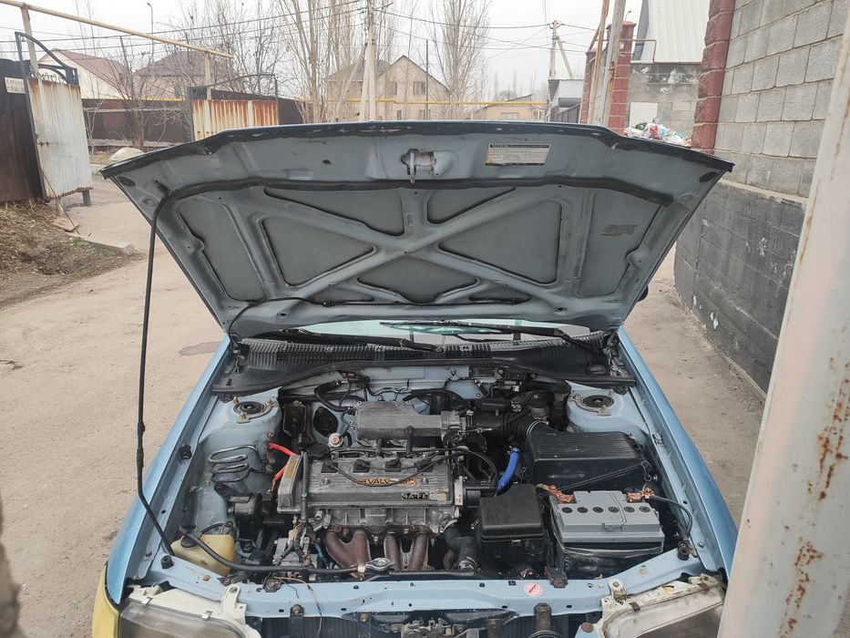 Карина Е Karina E