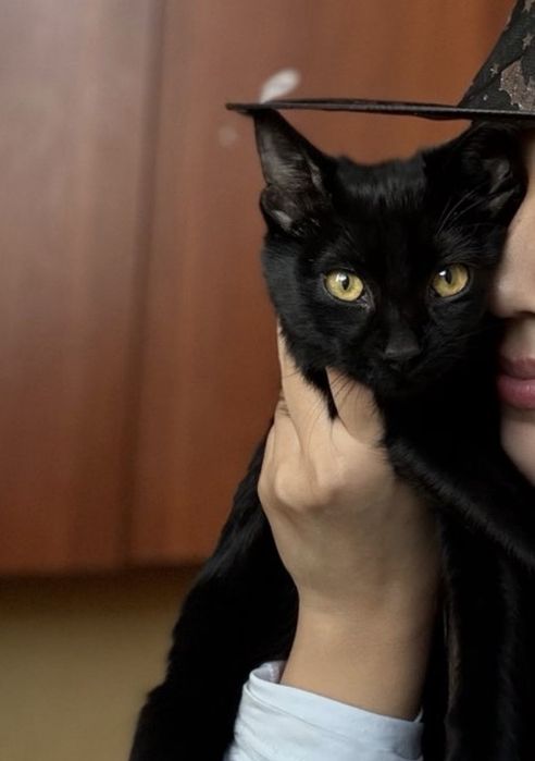 Девочка 5 месяев