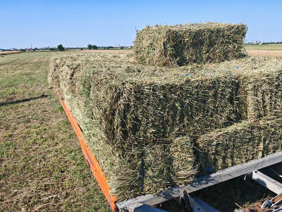Baloti rotunzi(Borcea.,ovaz,triticale,mazare)250 lei