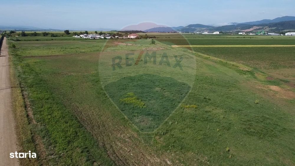 Teren 39,500mp Vintu de Jos
