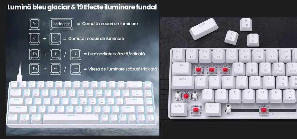 Tastatura Mecanica Gaming noua Anti-Ghosting red switches USB type-C