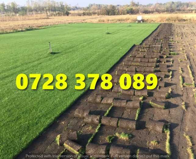 Gazon / Insamantare / Rulouri de Gazon