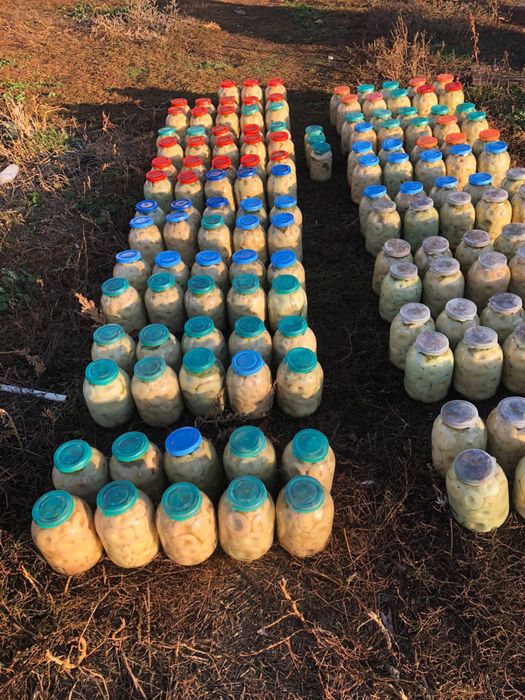 Вареные ГРУЗДИ