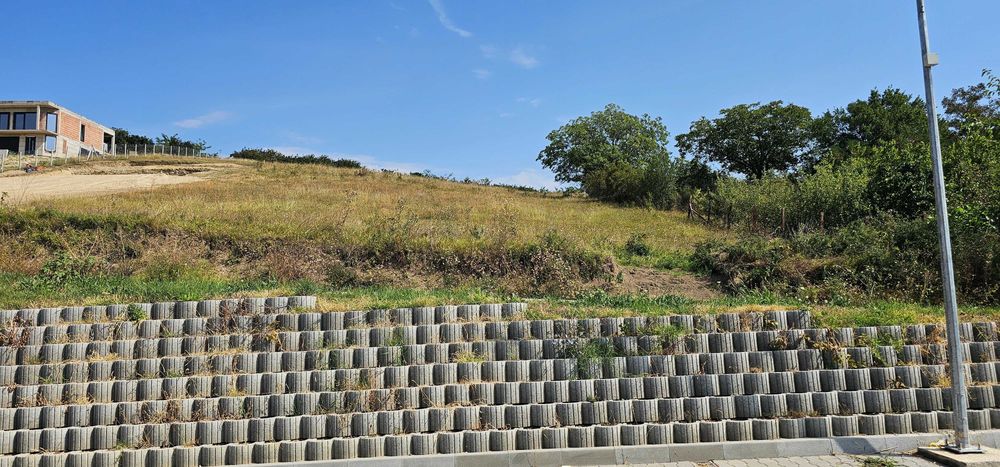 Teren Intravilan Sandulesti 39€/m² Negociabil