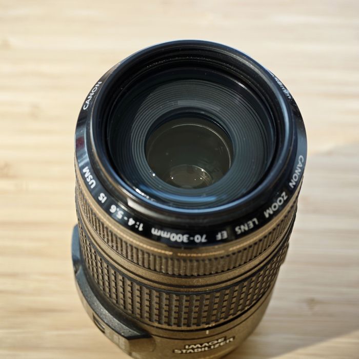 Canon EF 70-300mm f/4-5.6 IS USM
