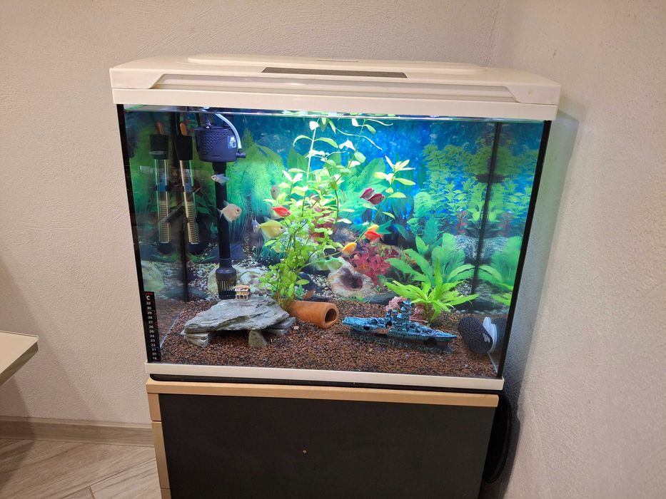 Три аквариума комплект с рибки