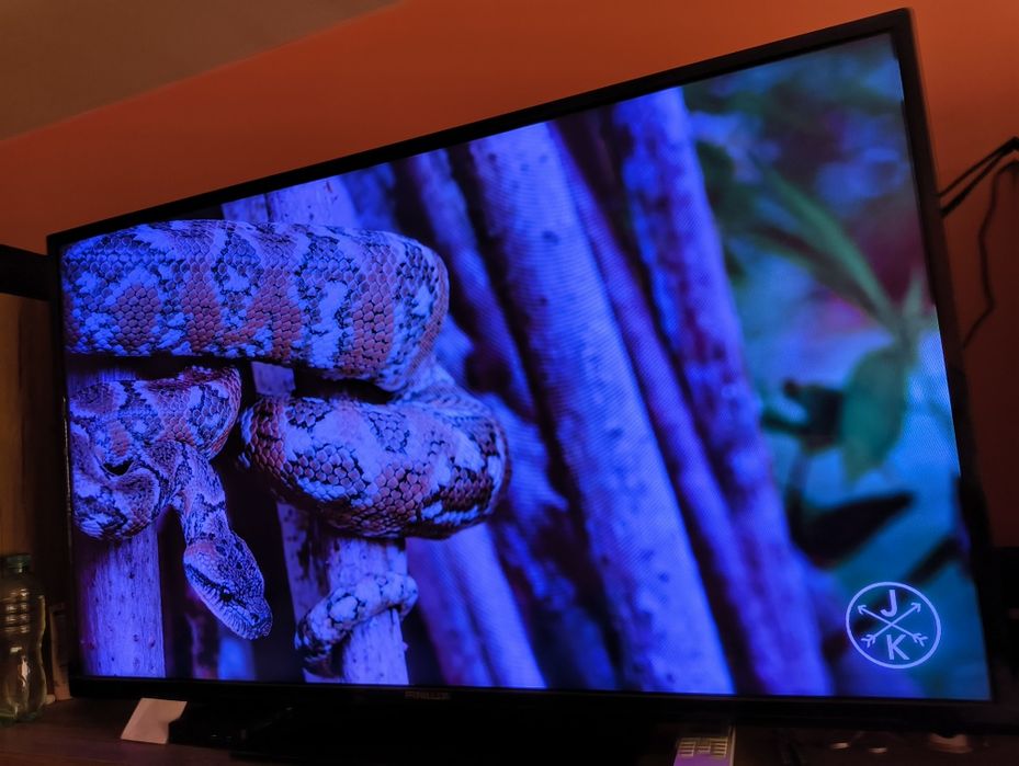 Finlux 49-FFD-5500 LED LCD