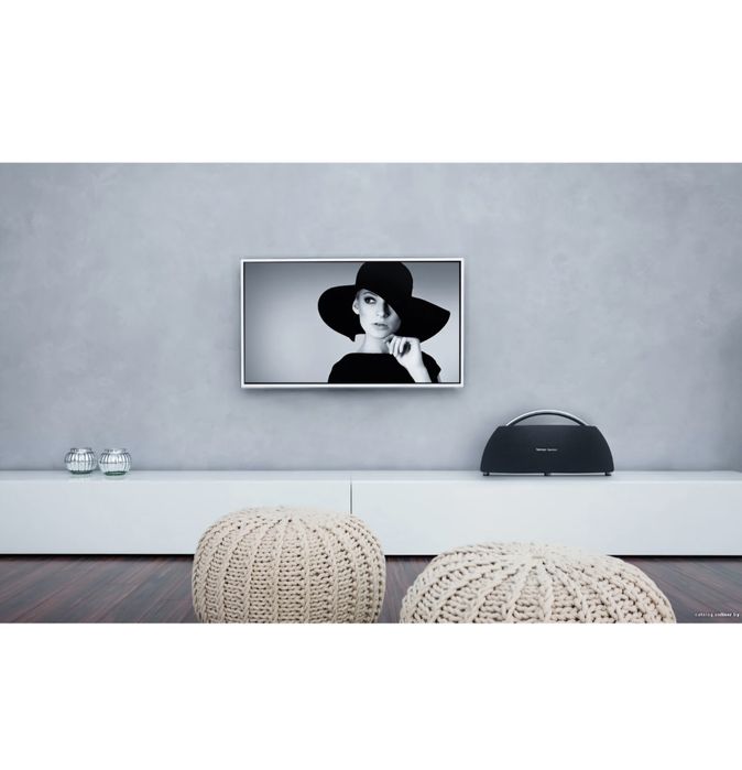 Harman Kardon go + play