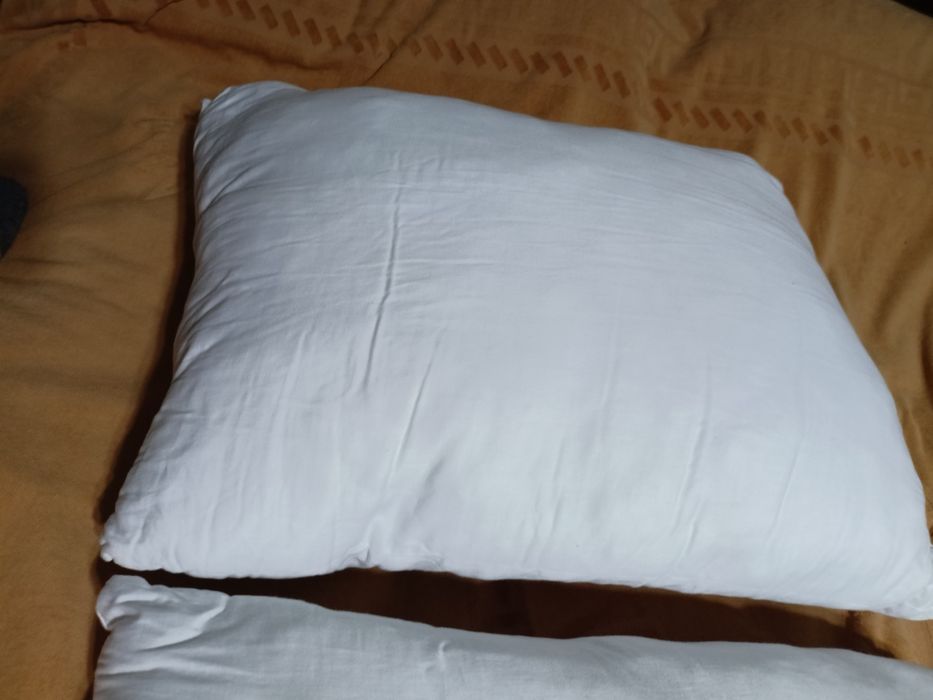 Две подушки   50#70 и одеяло 222#157