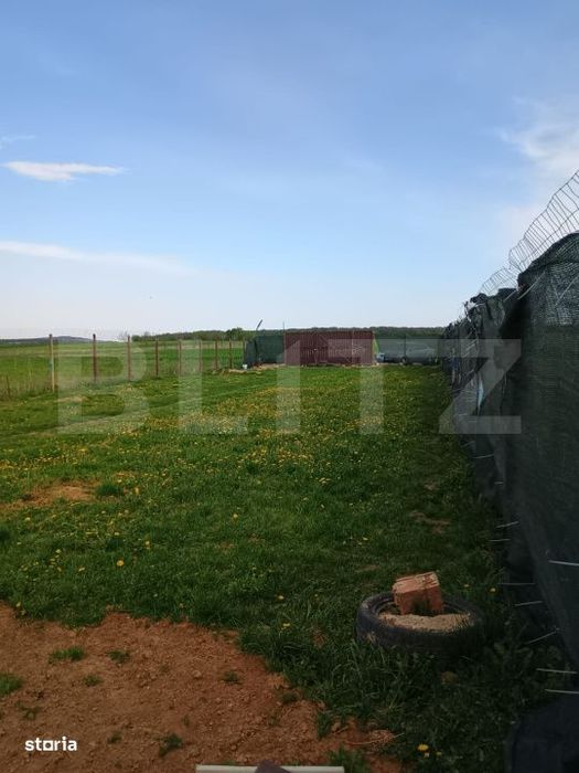 Teren Urleta , 1310M2