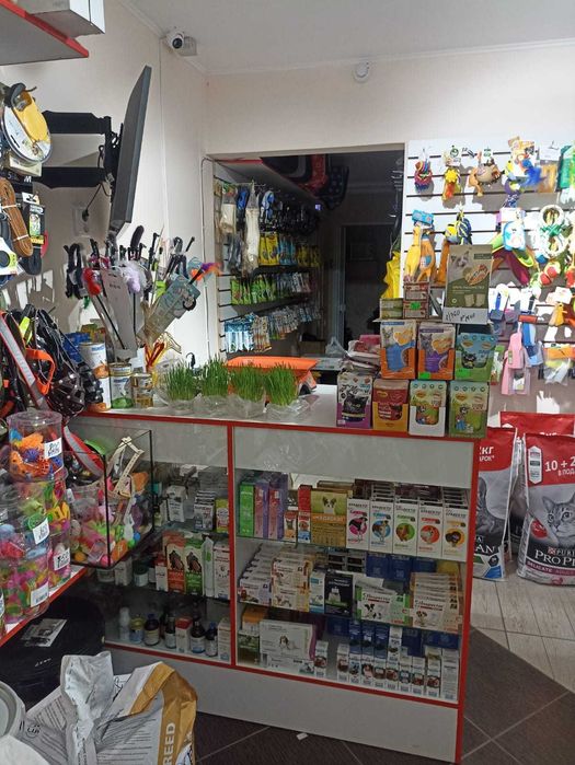 Зоомагазин помещение