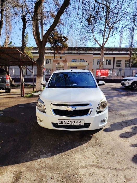 Cobolt 2020 Sroshna sotiladi