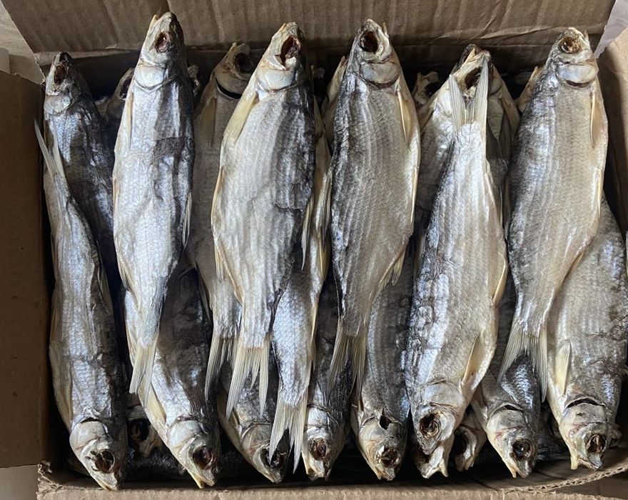 В продаже свежевяленый рыбец