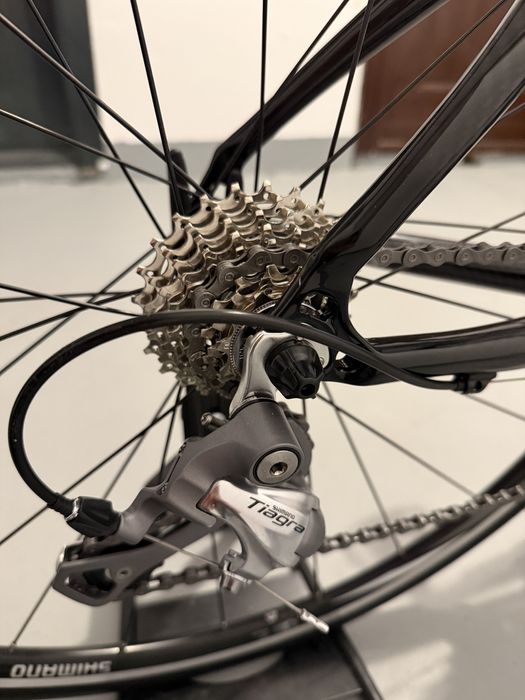 Cursiera DHS Shadow-carbon