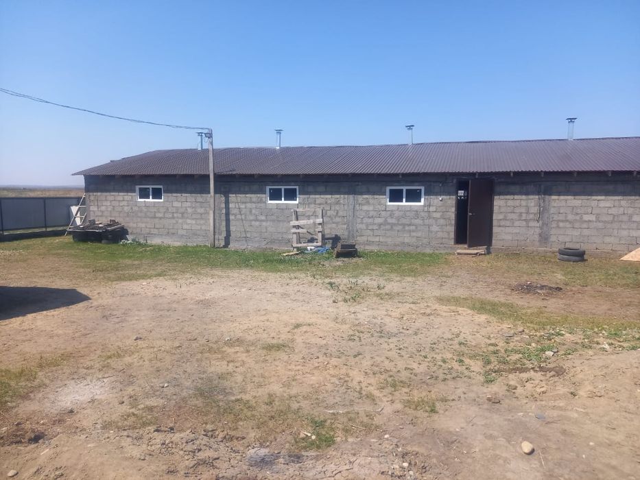 Крестьянское хозяйство