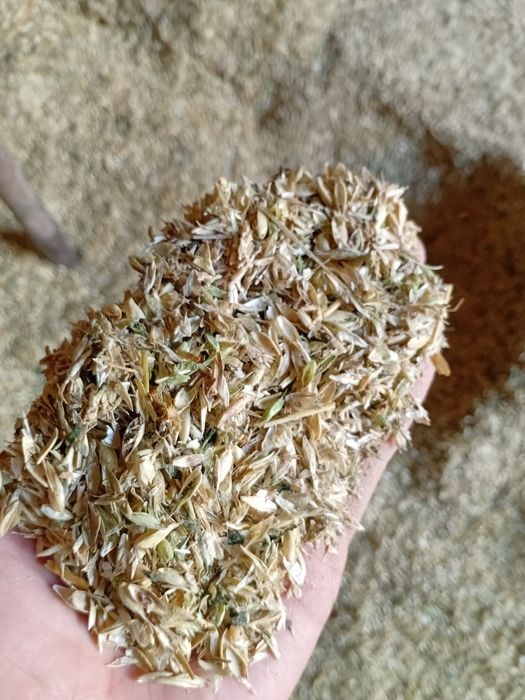 Отходы полова в перемешку для крс мрс лошадей