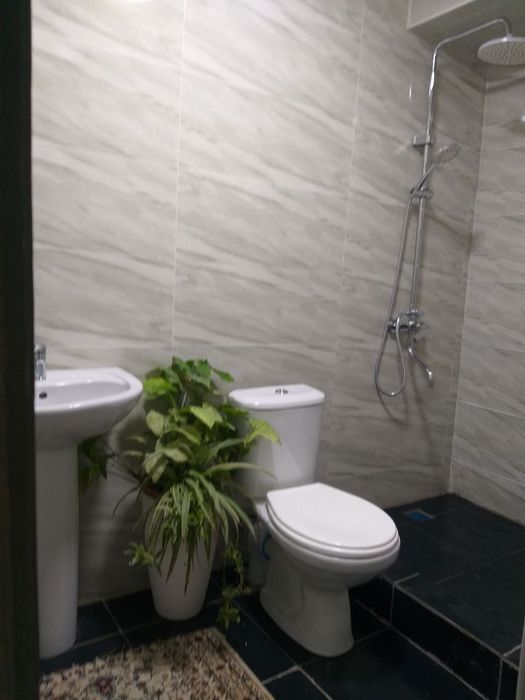 Аренда. Койка места