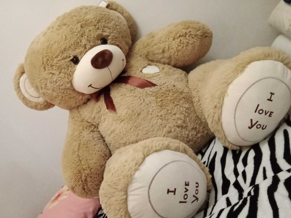 Teddy yumshoq ayiq