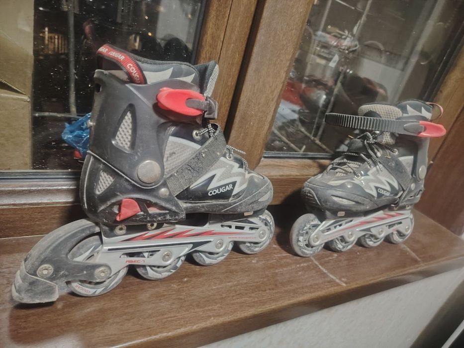 Cougar firminniy roliklar sotaman