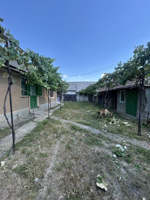 Vand Casa cu curte si gradina