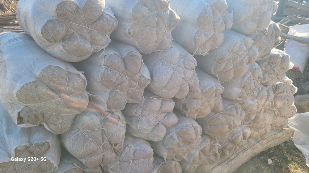 Somon pires va maydalangani