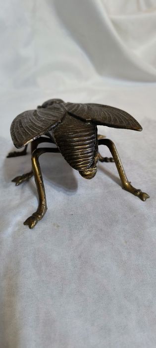 Голяма бронзова муха - пепелник