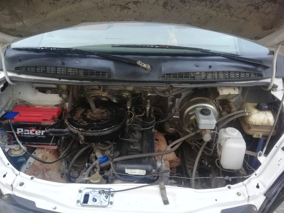 Газель термабудка