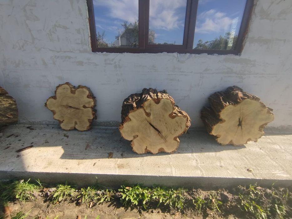 Rondele, felii de lemn din salcâm