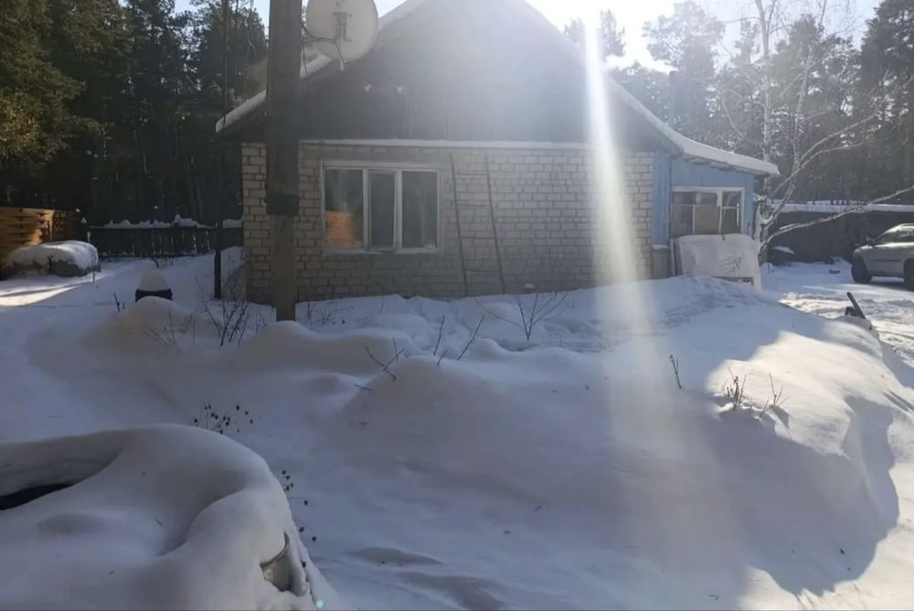 Продам дом в лесу