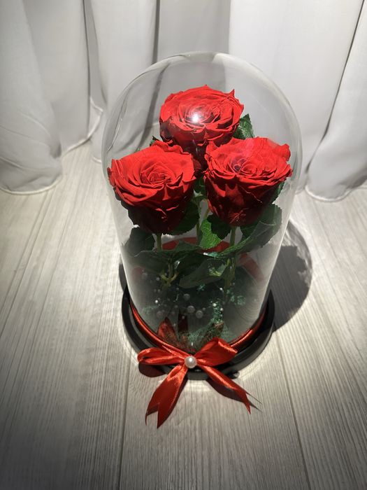 Cadou Valentine’s Day trandafiri criogenati