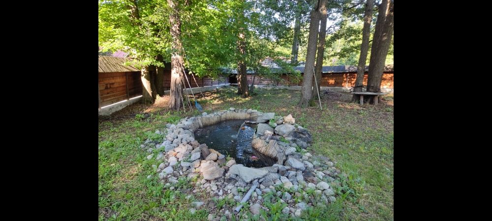 Vând proprietate la muntePolovragi-Racovita,zonă cu potențial turistic