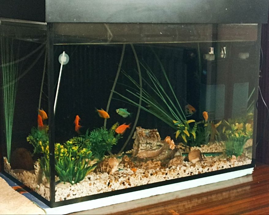 Аквариум 60литра