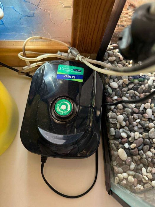 Аквариум (барча комплекти билан бирга)