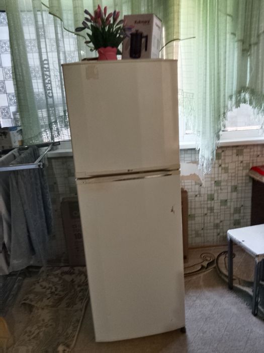 Muzlatgich Lg 1 mator