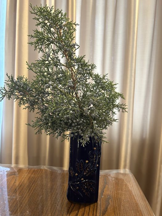 Хвойные ветки разные