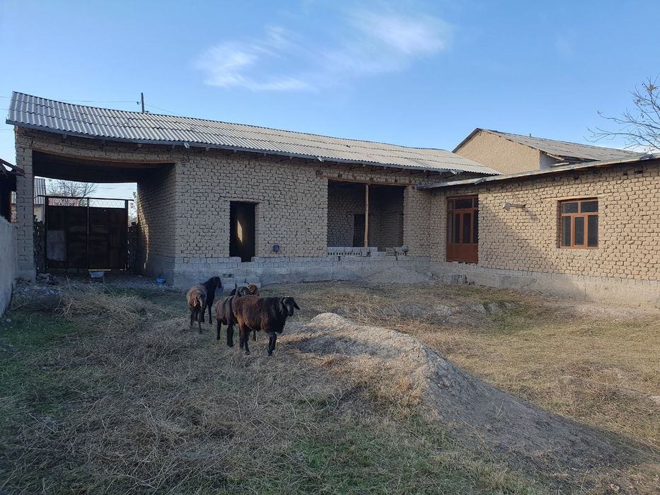 Уй сотилади. Арзон нархда Пайарик туман Мустакиллик МФЙ.