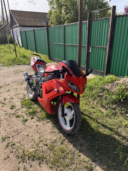Patron sport 250