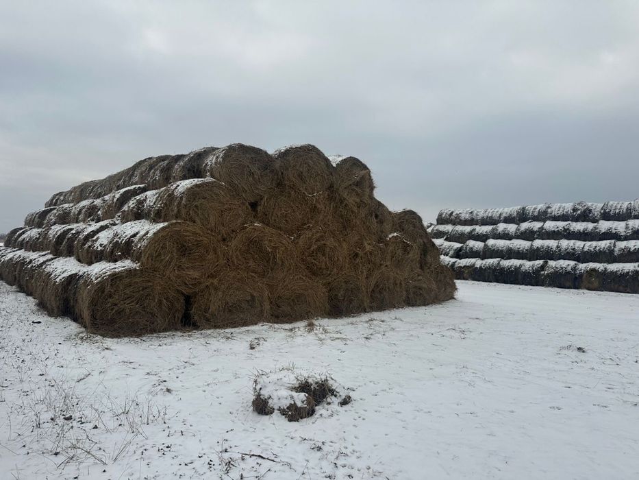Продам сено рулонами