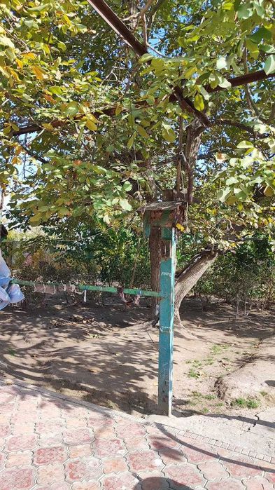 Дом с участком 18 соток