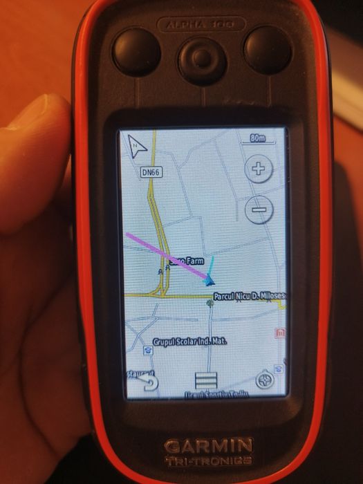 Garmina Alpha 100 dog