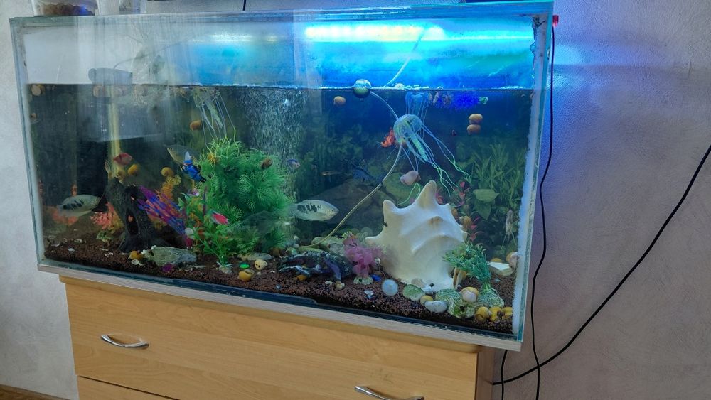 Продам 125л аквариум