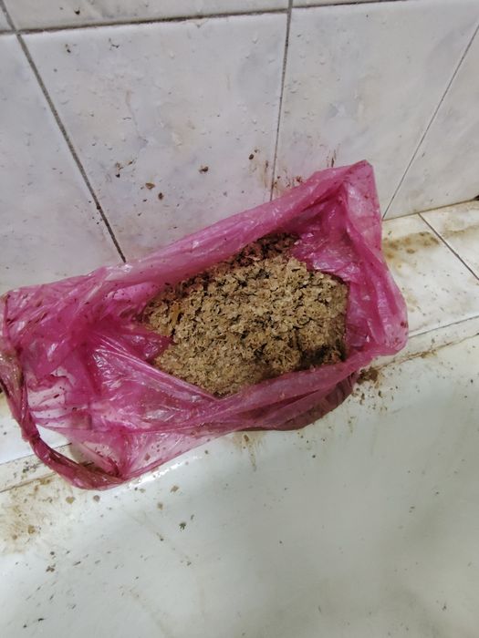 Аристон тозалаш тузатиш диагностика