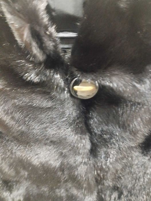 Срочно продам норковые шубы 2