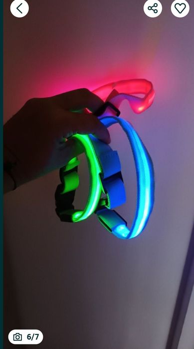 zgarda pentru câini luminoasa