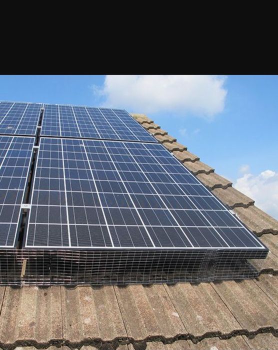 Почистване от гълъби Варна. Борба с гълъби.