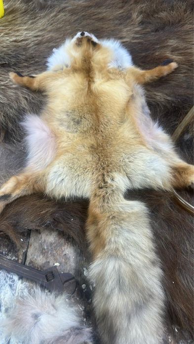 Қасқыр,аю,түлкі терісі