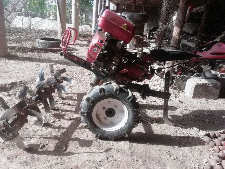 Жер жыртамыз Вспышки