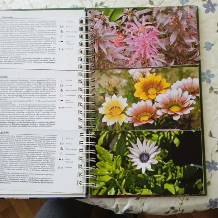 Миллион цветов на вашем участке